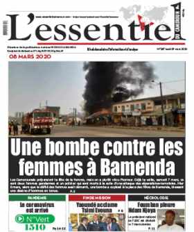 Cover L'Essentiel du Cameroun - 287 